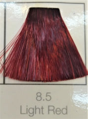 Bellose Hair Color 8.5 Light Red - 30ml - ShopXonline