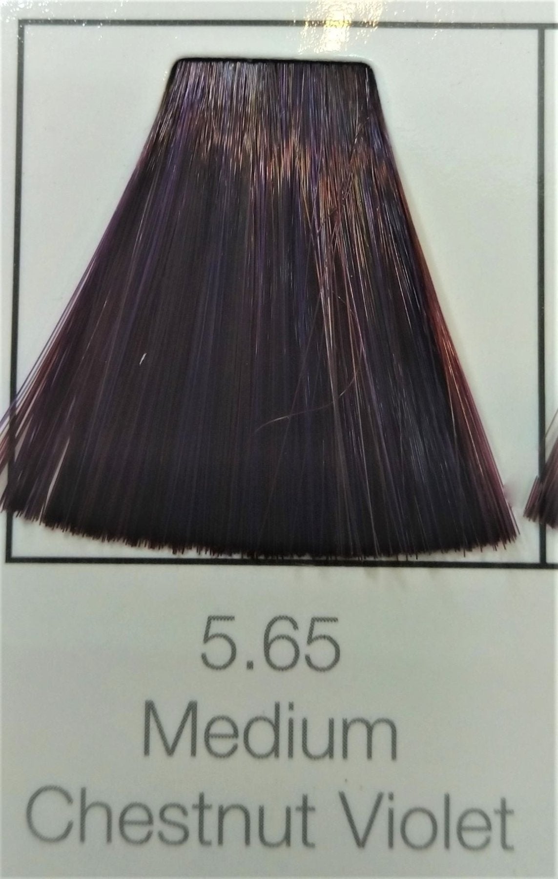 Bellose 5.65 Medium Chestnut Violet Hair Color - 60ml - ShopXonline