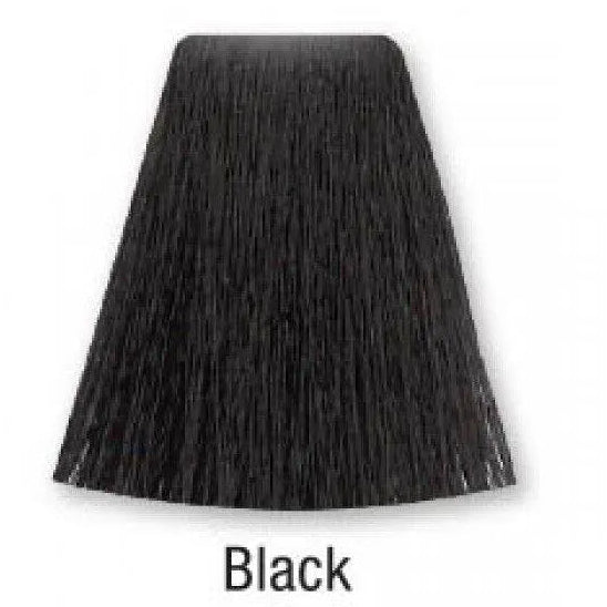 Bellose Permanent Hair Color 1.0 Black 60ml + Developer 6% 20 Volume