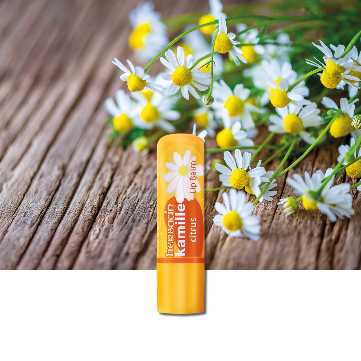 Ever Beauty Camomille Citrus Lip Balm