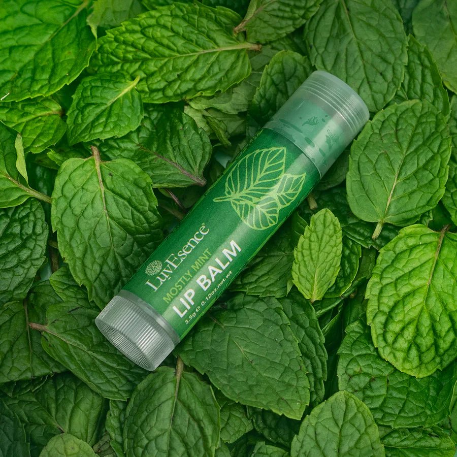 Luvesence Mostly Mint Lip Balm 3.5g - ShopXonline