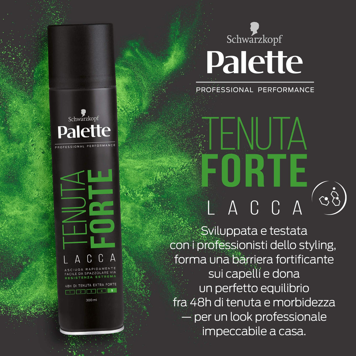 Palette Tenuta & Forte Hair Spray 300ml