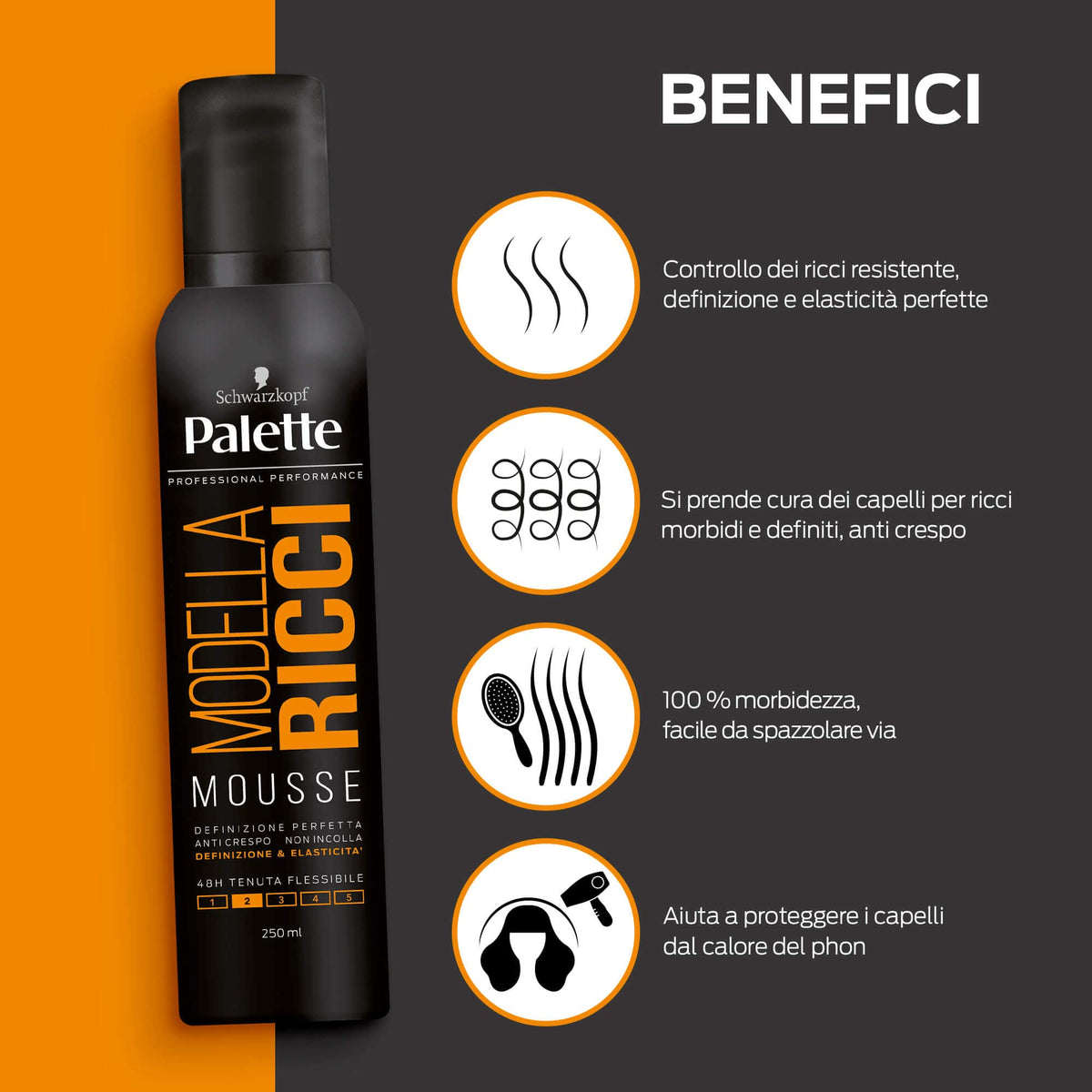 Palette Modella Ricci Hair Mousse 250ml