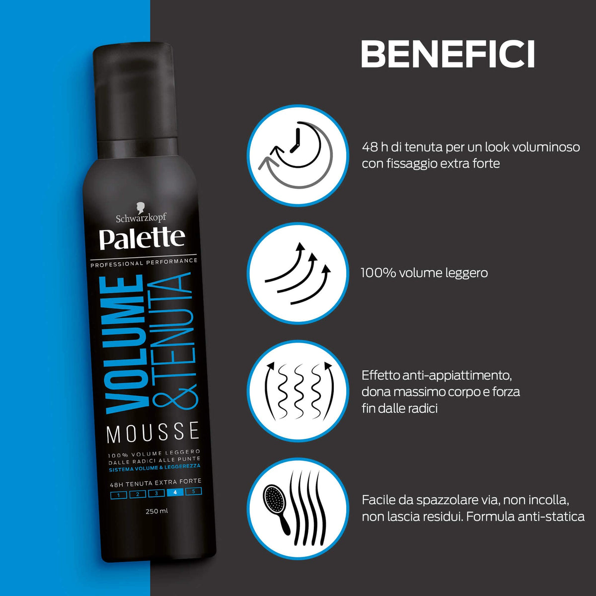 Palette Volume & Tenuta Hair Mousse 250ml