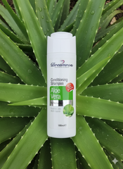 Dreamron Aloe Conditioning Shampoo 100ml
