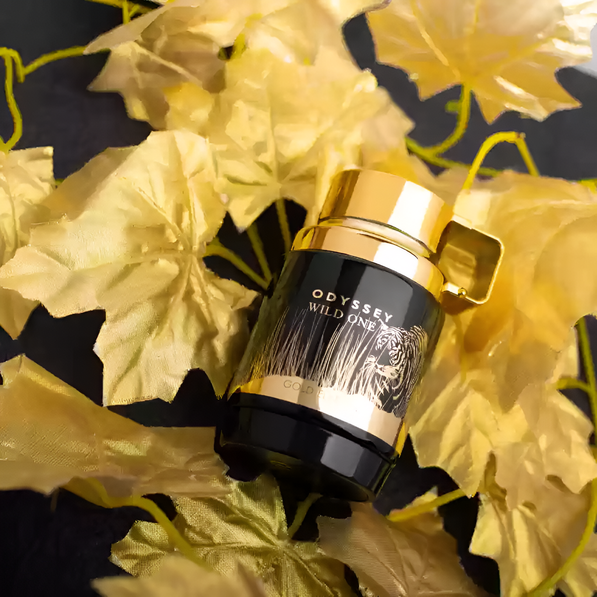 Odyssey Wild One Gold Edition EDP 100ml ( A Grade )
