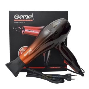Gemei GM-1719 Professional Hair Dryer 1800W
